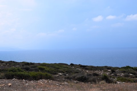 15000m² Land in Rethymno, Greece No. 58056 3