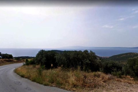 15000m² Land à Chalkidiki, Greece No. 58065 2