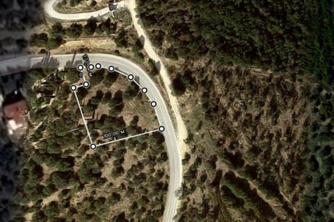 15000m² Land en Chalkidiki, Greece No. 58065 6