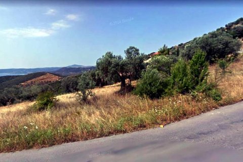 15000m² Land en Chalkidiki, Greece No. 58065 5