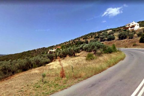 15000m² Land en Chalkidiki, Greece No. 58065 3