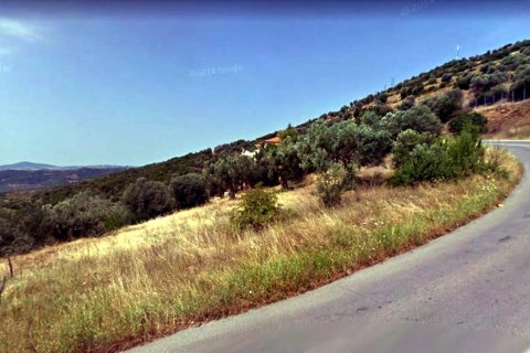 15000m² Land en Chalkidiki, Greece No. 58065 4