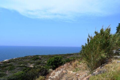 8000m² Land in Rethymno, Greece No. 58057 3