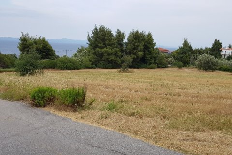 9500m² Land à Chalkidiki, Greece No. 58048 4