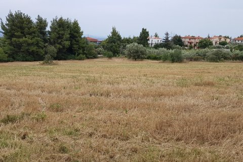 9500m² Land à Chalkidiki, Greece No. 58048 3