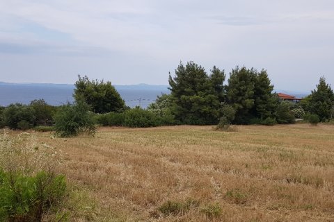 9500m² Land in Chalkidiki, Greece No. 58048 1