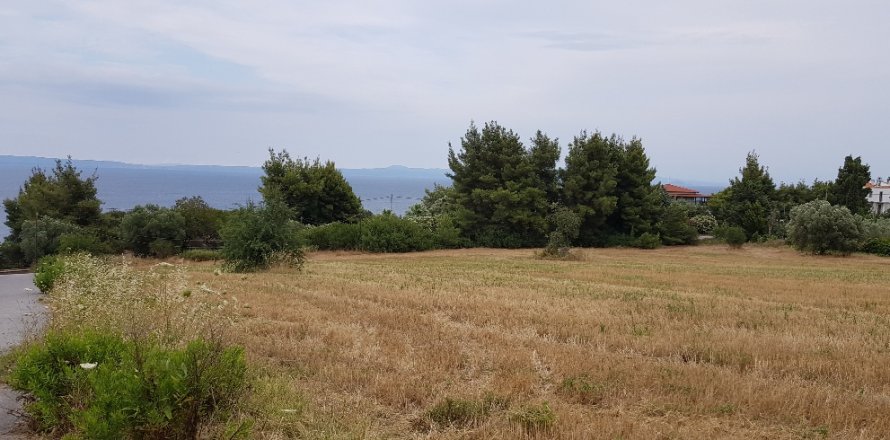 9500m² Land en Chalkidiki, Greece No. 58048