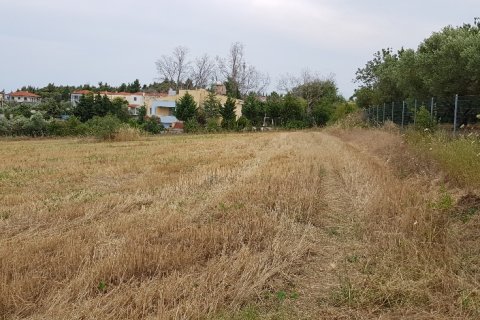 9500m² Land in Chalkidiki, Greece No. 58048 2