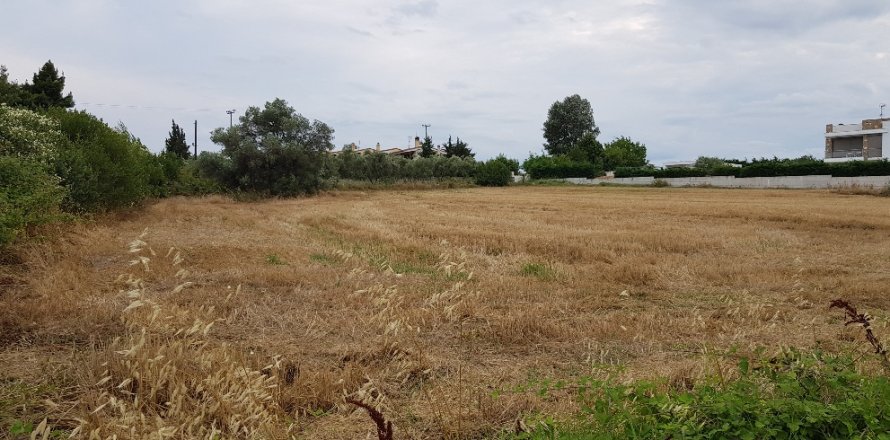 4800m² Land en Chalkidiki, Greece No. 58049