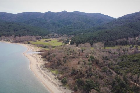 4785000m² Land in Chalkidiki, Greece No. 58043 4