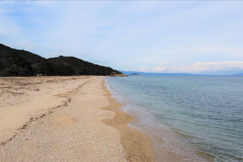 4785000m² Land en Chalkidiki, Greece No. 58043 7