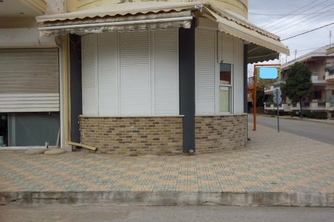 145m² Business in Chalkidiki, Greece No. 58045 4