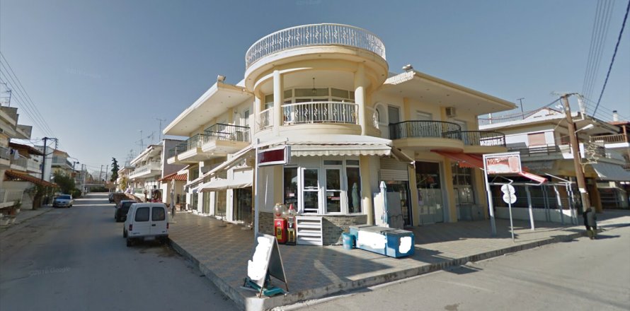 145m² Business in Chalkidiki, Greece No. 58045