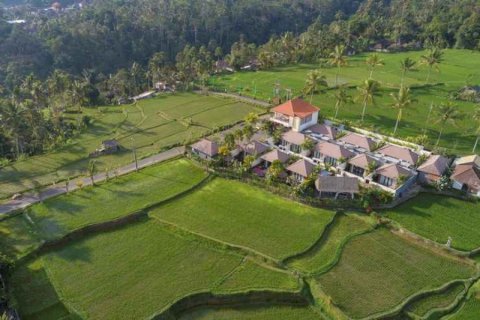 15 dormitorios Villa en Ubud, Indonesia No. 22993 1