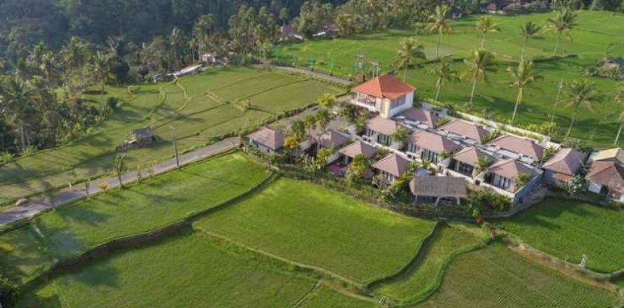 15 bedrooms Villa in Ubud, Indonesia No. 22993