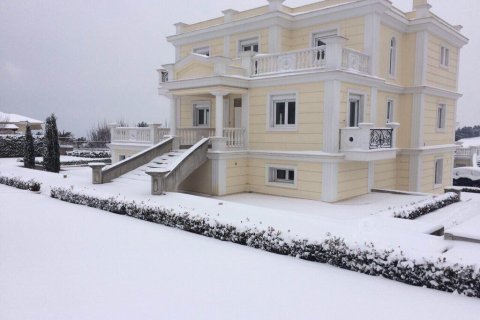 3 dormitorios Villa en Thermaic Gulf, Greece No. 55369 22