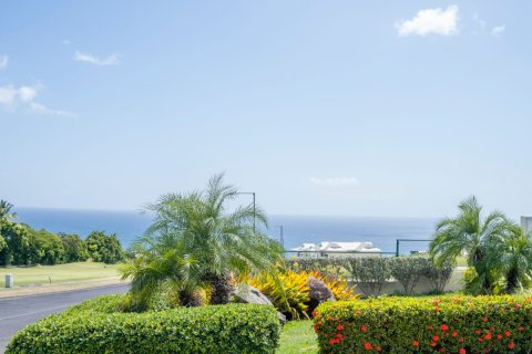 3 bedrooms Villa in Brumaire, Saint Kitts and Nevis No. 61453 18