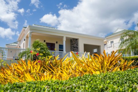 3 bedrooms Villa in Brumaire, Saint Kitts and Nevis No. 61453 13