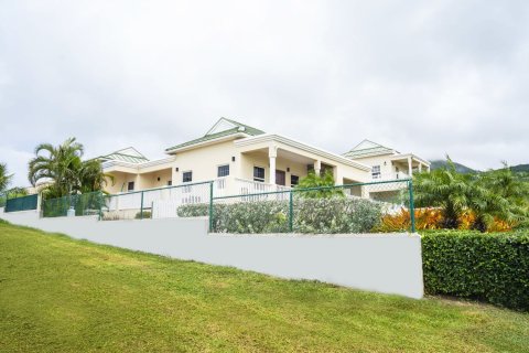 3 dormitorios Villa en Brumaire, Saint Kitts and Nevis No. 61453 3