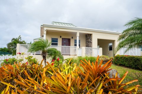 3 dormitorios Villa en Brumaire, Saint Kitts and Nevis No. 61453 1