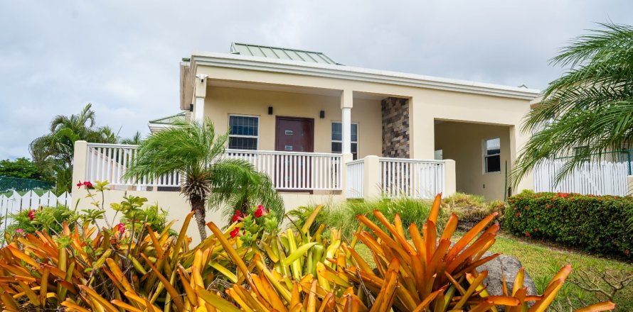 3 bedrooms Villa in Brumaire, Saint Kitts and Nevis No. 61453