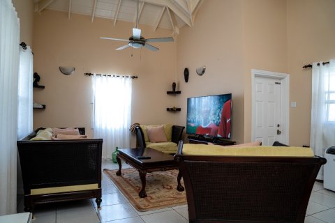 2 bedrooms Villa in Brumaire, Saint Kitts and Nevis No. 61455 5