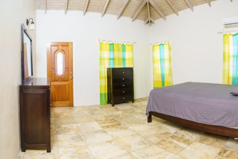 5 dormitorios Villa en Butlers, Saint Kitts and Nevis No. 61466 17