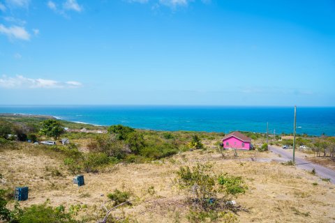 5 chambres Villa à Butlers, Saint Kitts and Nevis No. 61466 27