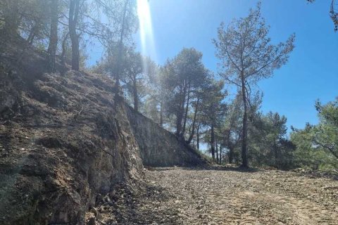 21690m² Land in Moniatis, Cyprus No. 36134 5