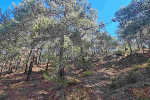 21690m² Land in Moniatis, Cyprus No. 36134 15