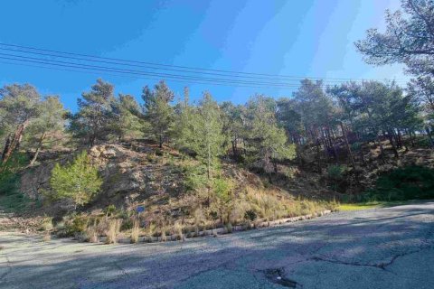 21690m² Land in Moniatis, Cyprus No. 36134 14