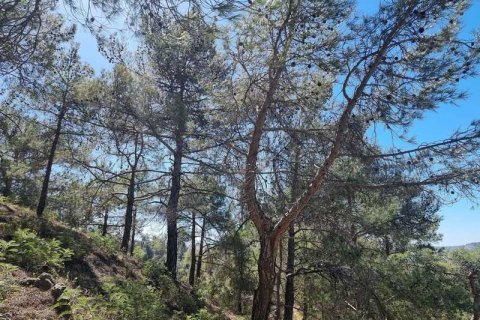 21690m² Land in Moniatis, Cyprus No. 36134 7