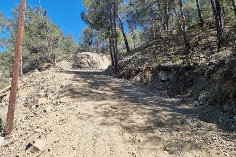 21690m² Land in Moniatis, Cyprus No. 36134 3