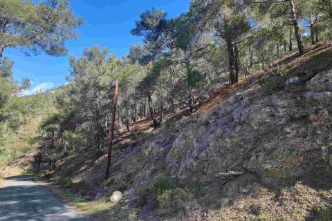 21690m² Land in Moniatis, Cyprus No. 36134 10