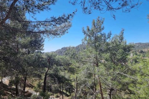 21690m² Land in Moniatis, Cyprus No. 36134 6