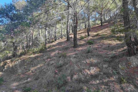 21690m² Land in Moniatis, Cyprus No. 36134 11