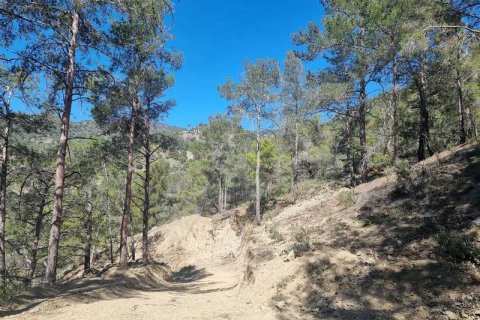 21690m² Land in Moniatis, Cyprus No. 36134 4