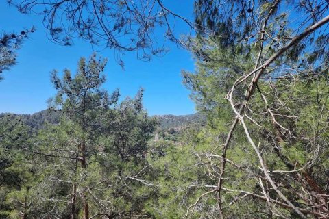 21690m² Land in Moniatis, Cyprus No. 36134 8