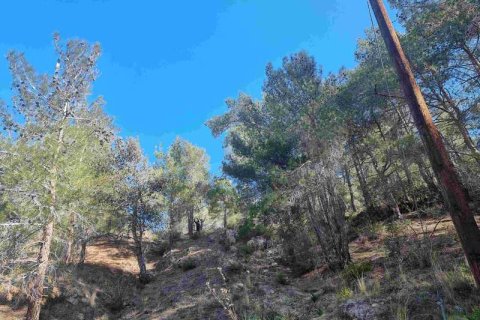 21690m² Land in Moniatis, Cyprus No. 36134 13