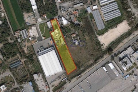 5567m² Land en Limassol, Cyprus No. 73798 1