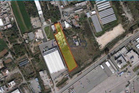 5567m² Land en Limassol, Cyprus No. 73798 2