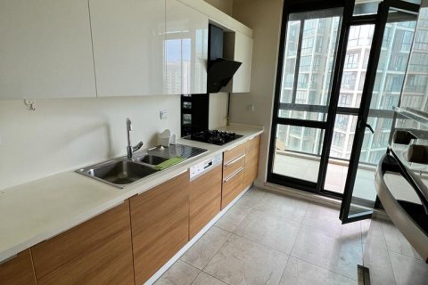 3+1 Apartment in Basaksehir, Turkey No. 14667 20