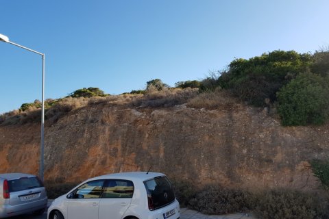 6500m² Land à Agios Nikolaos, Greece No. 57006 2