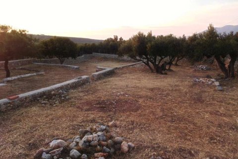 4 chambres Hotel à Peloponnese, Greece No. 47451 14