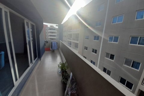 3 bedrooms Apartment in Al Reef, UAE No. 10502 10