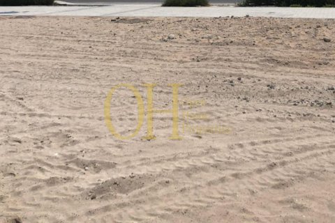 611.8m² Land on the Saadiyat Island, UAE No. 10404 10