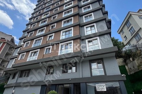 2+1 Appartement à Istanbul, Turkey No. 11415 1