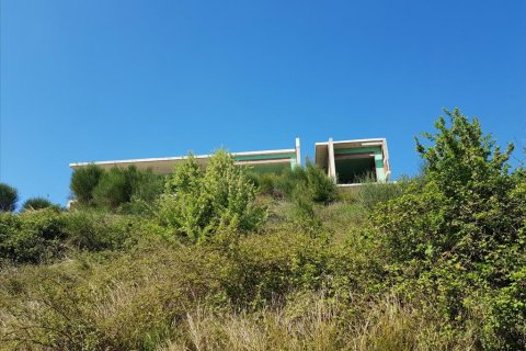 5 bedrooms Villa in Chalkidiki, Greece No. 57491 18