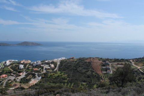 1770m² Land in Agios Nikolaos, Greece No. 57486 3