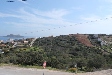 1770m² Land à Agios Nikolaos, Greece No. 57486 8